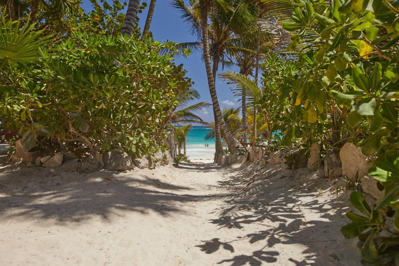 فندق Dos Ceibas Tulum - Massage & Yoga Inclusive المظهر الخارجي الصورة
