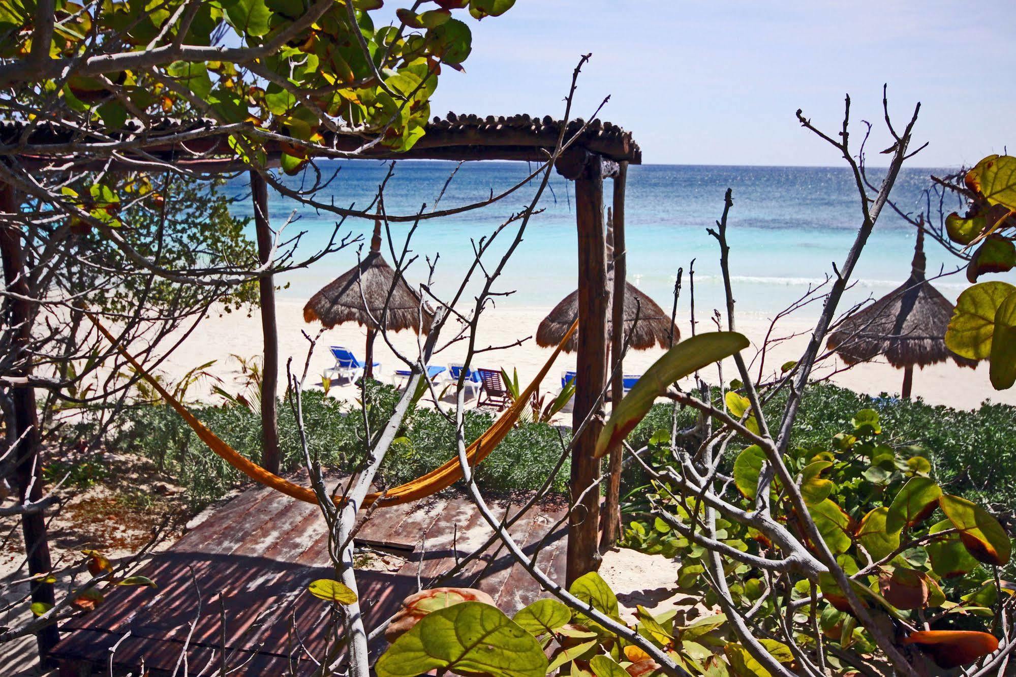 فندق Dos Ceibas Tulum - Massage & Yoga Inclusive المظهر الخارجي الصورة