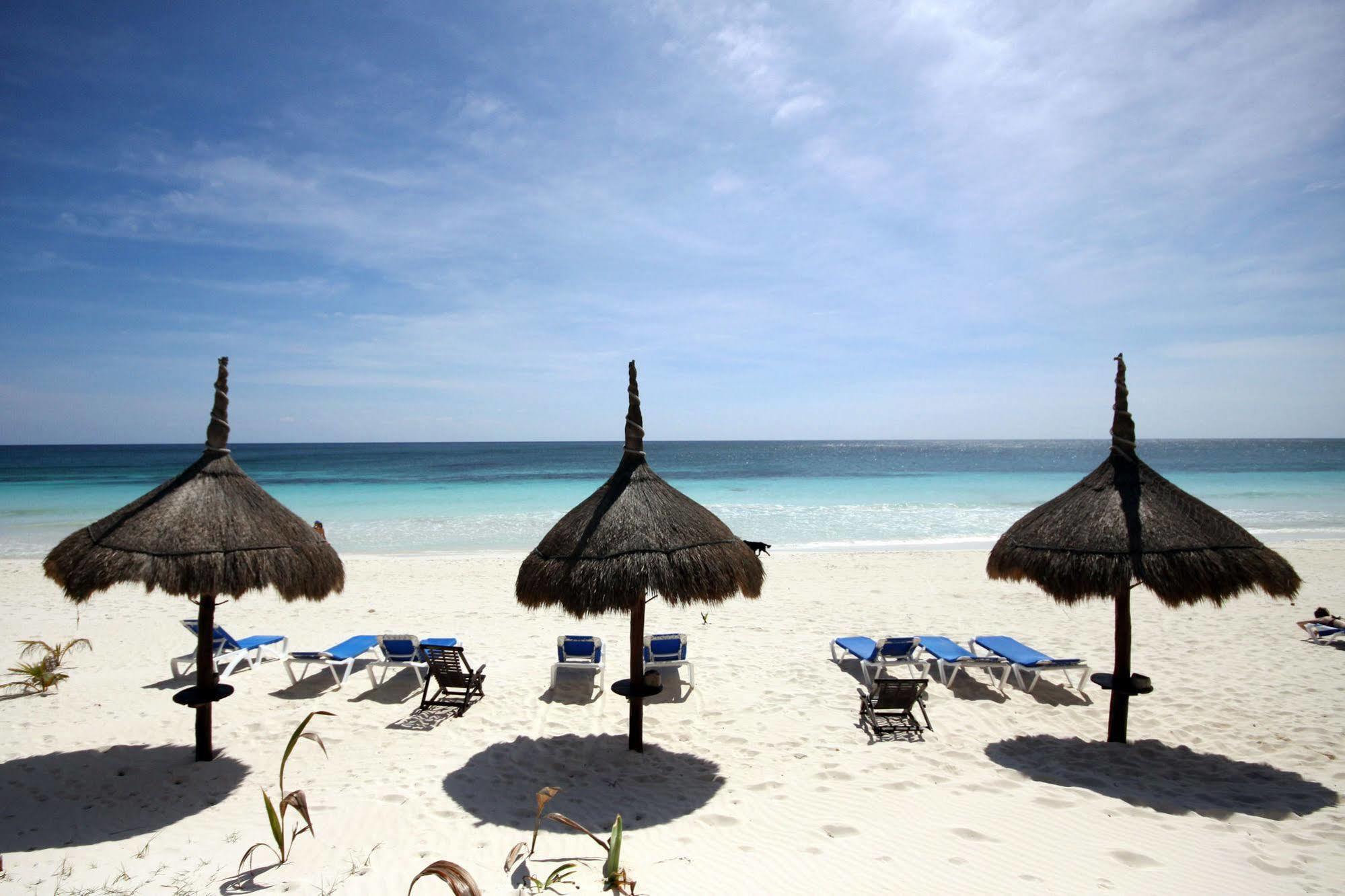 فندق Dos Ceibas Tulum - Massage & Yoga Inclusive المظهر الخارجي الصورة